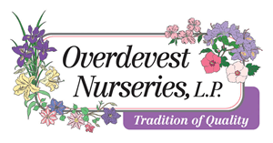 Overdevest Nurseries